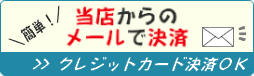 クレジットカード決済可能です。
